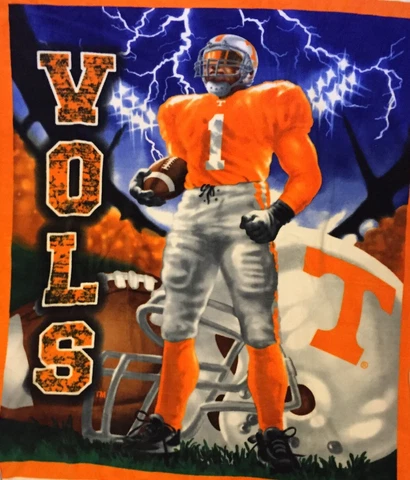 NCAA COLLEGE TENNESSEE VOLUNTEERS FLEECE PANEL FOR BLANKET CRAFTS WALL HANGING Cover