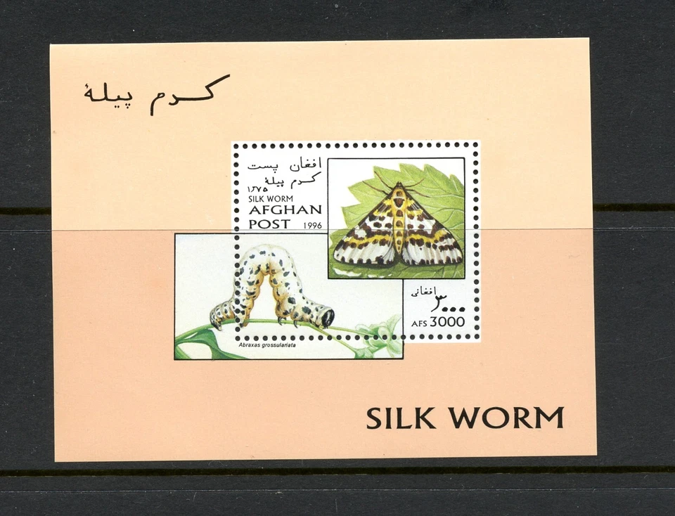 R3158   Afghanistan  1996    insects  silkworm   SHEET   MNH - Image 1 of 1