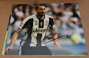 Giorgio Chiellini SIGNED ITALY JUVENTUS SOCCER 8X10 - Picture 1 of 2