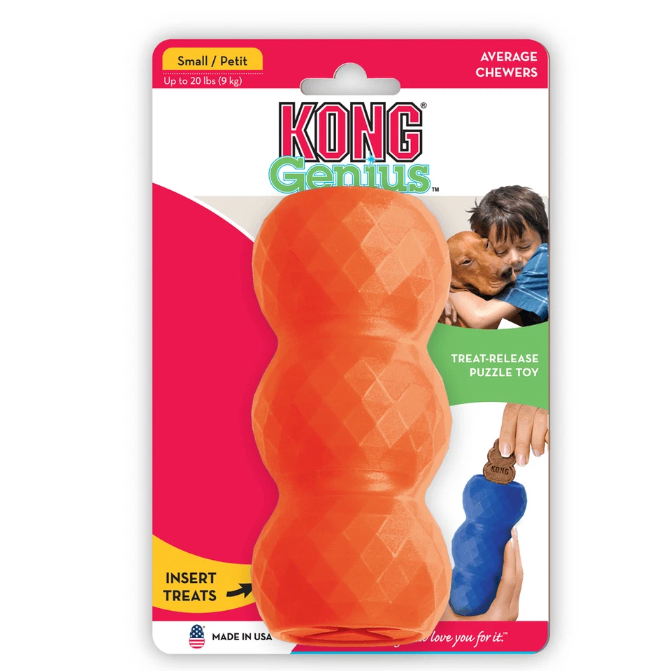 KONG GENIUS Mike (Small)- Orange - Image 1 of 1