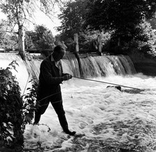Man Fishing In The River Gade In Watford Hertfordshire 1954 Old Photo