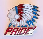 Pride Native American Indian Cheif Pin Badge Rare Vintage (C10)
