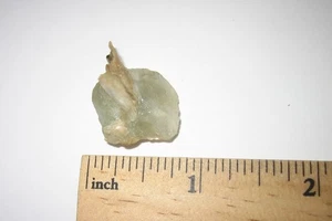 0.75" TINY SMALL NATURAL ROUGH GREEN HERDERITE & MUSCOVITE CRYSTAL PAKISTAN 5.3g - Picture 1 of 6