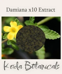 DAMIANA 10:1 EXTRACT GRANULES 3g Turnera diffusa x10 Stronger Than Herb - Picture 1 of 1