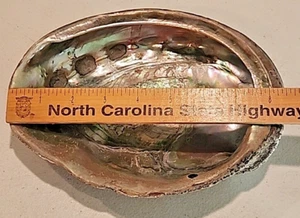 Natural Abalone Shell X Large 8.5x6.75 20.2oz Vintage Decor Top Grade Beautiful - Picture 1 of 12
