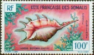 FRENCH SOMALI COAST-1962- SHELLS -VF** - Picture 1 of 1