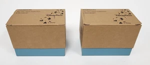 Disney Parks Starbucks Hollywood Studios Animal Kingdom You Are Here Collection - Picture 1 of 8