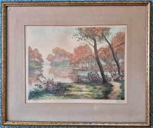 ANTICA ACQUAFORTE ACQUATINTA, paesaggio europeo, firmata a matita, Ltd Ed. - Foto 1 di 8
