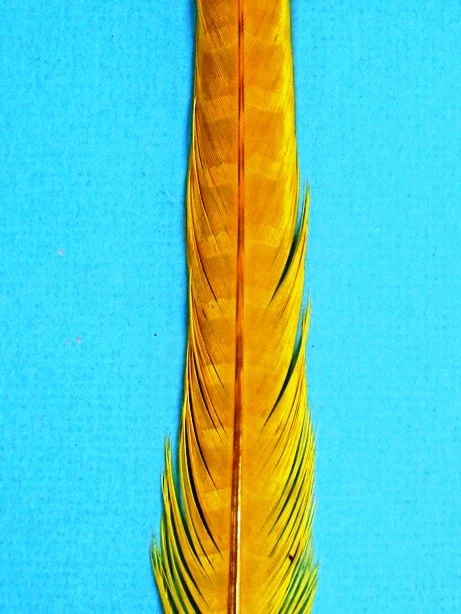 CUELLO ANILLA INGLÉS TEÑIDO Plumas de Faisán 20-26" ¡MUCHOS COLORES! Disfraz/Sombreros/Artesanía Foto 1 de 1