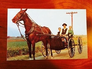 Postkarte - Amish Courting Buggy - Pennsylvania Dutch Country - Bild 1 von 2