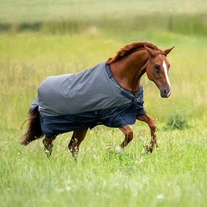 Busse Outdoordecke ACTIVE PRO 50, Regendecke, Weidedecke 50 g - Bild 1 von 4