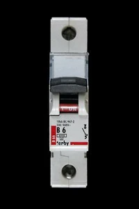 TENBY 6 AMP CURVE B 6kA MCB CIRCUIT BREAKER B66 - Picture 1 of 6