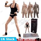 JIAOU DOLL 1/6 Seamless Young Male Body Action Figure fit 12in Phicen Hot Toys