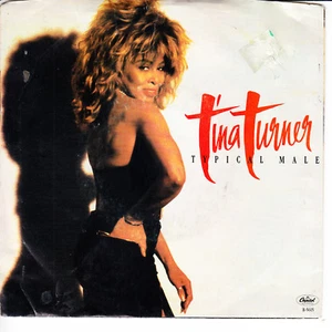 TINA TURNER Typical Male VG(+) 45 RPM P/S VG(+) - Picture 1 of 4