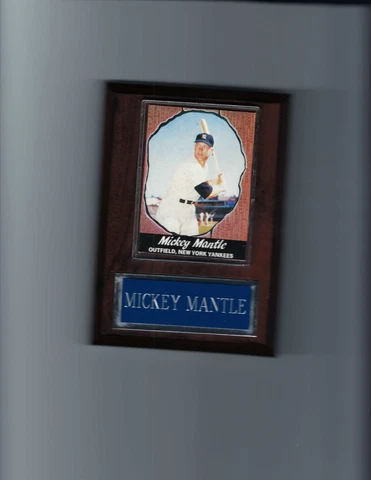MICKEY MANTLE PLAQUE BASEBALL NEW YORK YANKEES NY MLB  HOF'er  C2 Cover