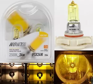 Nokya 2500K Yellow PSX24W 2504 Nok7691 24W Two Bulbs Fog Light Replacement Lamp - Picture 1 of 12