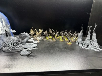 Lote Sylvaneth Foto 1 de 4