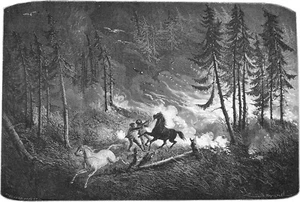 CANADÁ - ALBERTA, Fuego en las Montañas Rocosas - Grabado en madera del siglo XIX - Imagen 1 de 3