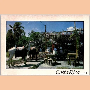 Postcard Liberia Picturesque View Guanacaste Costa Rica Horses - Imagen 1 de 4