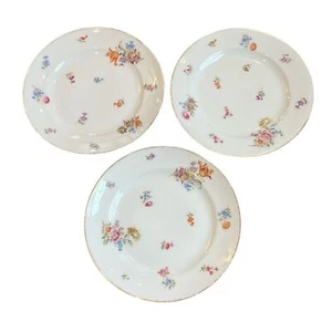 Hutschenreuther Hohenberg German Gold Rimmed Floral VTG 9.5” 3 Dinner Plates - Picture 1 of 10