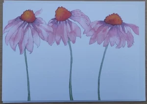 Emma Ball Echinacea Art Card  Blank Birthday Sympathy Gardening Flower Floral F1 - Picture 1 of 1