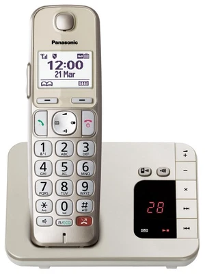 PANASONIC KX-TGE260GN Schnurloses Telefon - Bild 1 von 3