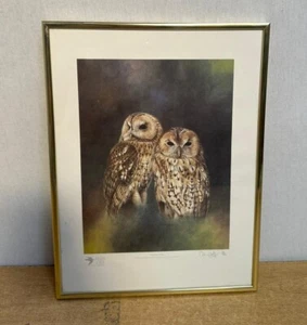Signed Limited Edition Print by Colin Woolf The Hawk & Owl Trust 'Tawny Owls' - Picture 1 of 5