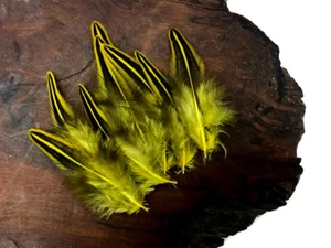 10 Pieces - Yellow Dyed Jungle Cock Loose Plumage Feather Fly Tying Rare Exotic - Picture 1 of 7