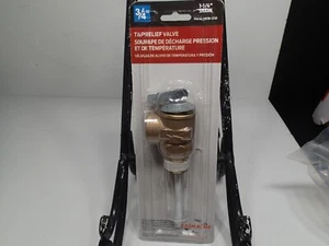 Cash Acme 3/4" T & P Relief valve 1-1/4" shank New in package - Picture 1 of 3