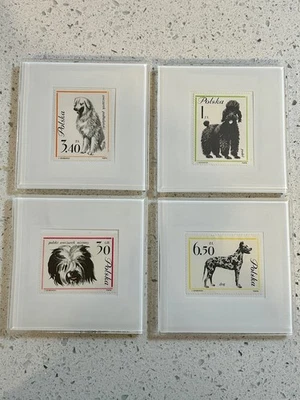 Juego de 4 posavasos de estampillas con tema de perro Polska de Polonia - caniche, pastor, gran danés Foto 1 de 4