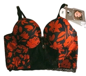 Daisy Fuentes Push Up Bra 34B Red Black Lace Underwire Sheer Lining Lingerie NWT - Picture 1 of 12