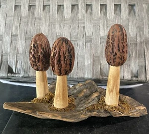 Morel Mushrooms Hand Carved Driftwood Mossy Sculpture Forest Nature Art by JOAN - Picture 1 of 10