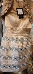 Sonia Pena Mother Of The Bride Dress And Bolero Jacket Size 10 New - Picture 1 of 12