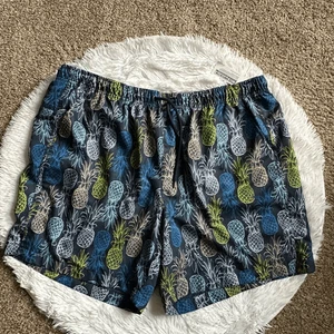 DSG Lifestyle Shorts Training Athletic Pineapple Loose Fit Swim New Mens Size 2X - Picture 1 of 11