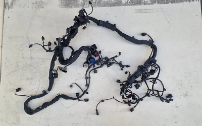 ARNÉS TELAR CABLEADO MOTOR AUDI RS6 C8 ESTATE 2020-2023 4H1971713DP Foto 1 de 4