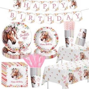 Owelleny Cowgirl Party Decorations, Saddle Up Horse Birthday Party Supplies F... - Picture 1 of 7