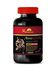 Pre-workout - NITRIC OXIDE 2400 Mg - 1B - Help Trigger Intense Vascularity