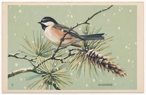 Chickadee - National Wildlife Federation Postcard 1939 - Picture 1 of 2