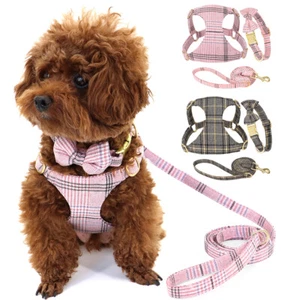 Small Dog Cat Collar Harness and Lead Set Step-in Pet Puppy Vest Necklace Leash - Picture 1 of 15