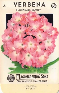 Vintage Seed Packet: VERBENA, Lagomarsino & Sons, Sacramento, 1940's - Picture 1 of 2