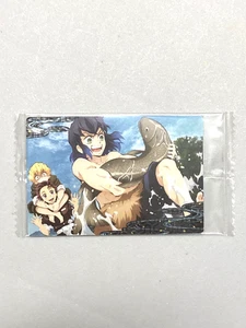 Tanjiro, Zenitsu, Inosuke - 021 - Demon Slayer / Kimetsu no Yaiba Wafer Card - Picture 1 of 2