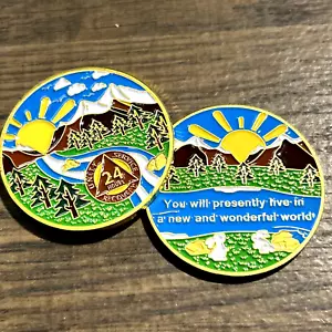 24 Stunden Erholung Nüchterne Nüchternheit Münze Medaille Taschenstück - Bild 1 von 3