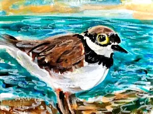 ORIGINAL ACEO Painting PLOVER Beach OCEAN Gull BIRD Summer Shore Sea ATC ART - Picture 1 of 1