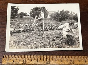 Photo Man and Woman working in Garden, Woman in Dress both with Hats - Picture 1 of 2