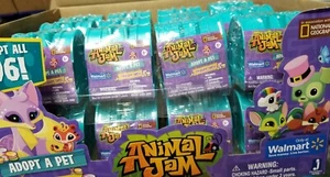 Animal Jam Adopt A Pet Treasure Chests Mystery Case of 24 All Green (Teal ) - Picture 1 of 7