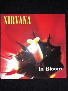 Album Holy Graal Dutch Nirvana 7 pouces single en fleurs Kurt Cobain Soundgarden AIC