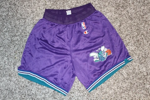 CHARLOTTE HORNETS 90s CHAMPION Basketball Shorts Sz L (36-38) Tourqouise Purple Cover
