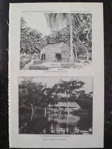 Casa Indígena Maya En Río Hondo Belice Yucatán Plato 4 - Imagen 1 de 1