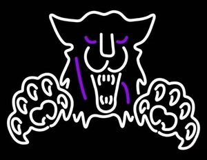 Weber State University LED Leuchtreklame 36"x20" Licht Männerhöhle Bier Bar Wanddeko - Bild 1 von 4