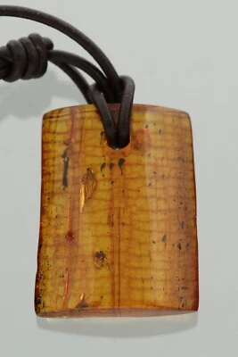 3 Fossil FLIES 正品波罗的海琥珀可调节皮革吊坠 12.1 克 230525-6 — 第 1/4 张图片